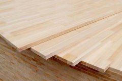 ata；冠珠；川一；德维尔；肯帝亚；柔然